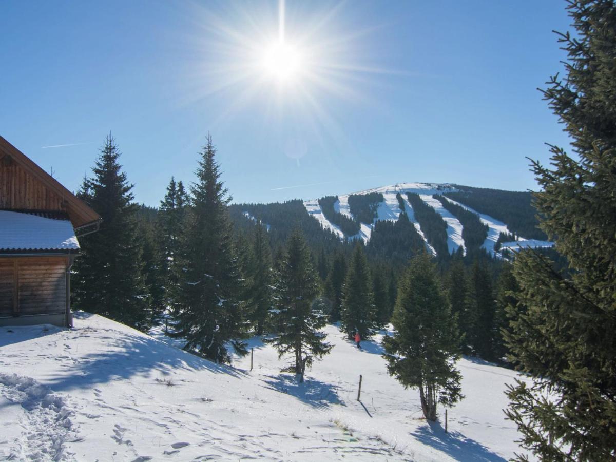 Beautiful Holiday Home In Weinebene With Sauna Obergösel 外观 照片